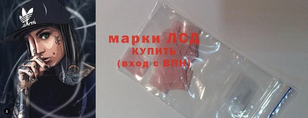 стаф Ростов