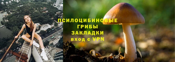 марихуана Абаза