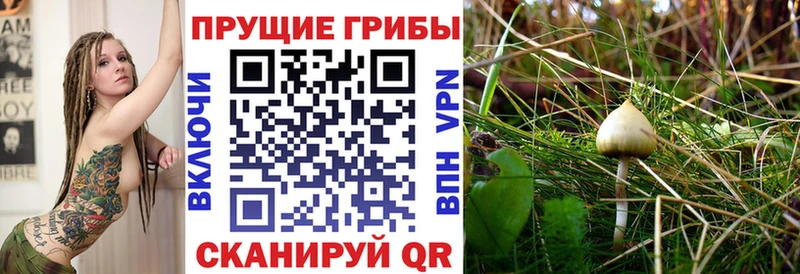 Галлюциногенные грибы ЛСД  Ак-Довурак 